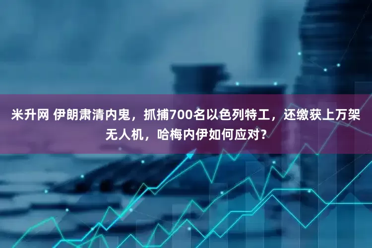 米升网 伊朗肃清内鬼，抓捕700名以色列特工，还缴获上万架无人机，哈梅内伊如何应对？