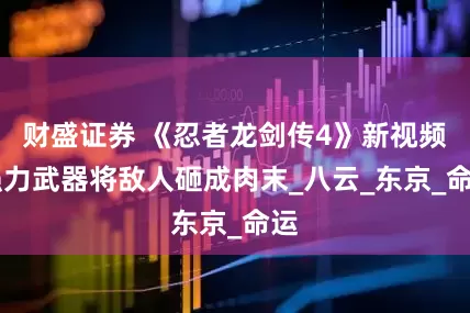 财盛证券 《忍者龙剑传4》新视频 强力武器将敌人砸成肉末_八云_东京_命运