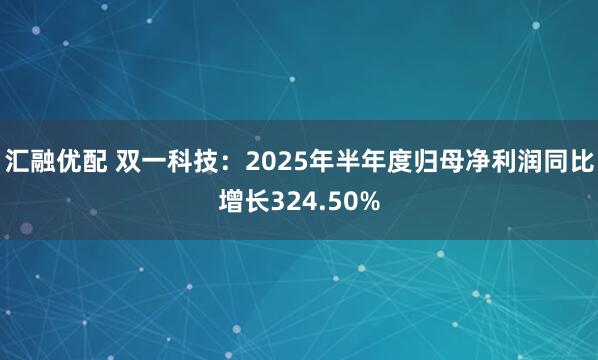 汇融优配 双一科技：2025年半年度归母净利润同比增长324.50%